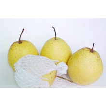 Provide Fresh Regular Snow Pear